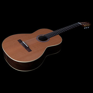 Godin Collection 6 String RH Classical Acoustic Guitar 049622