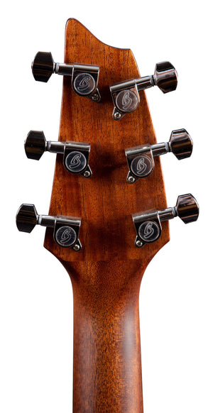 Breedlove Discovery S Concert CE Sitka-African mahogany DSCN01CESSAM