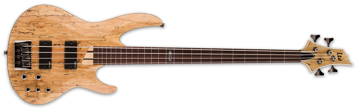 ESP LTD 4 String Fretless Spalted Maple Natural Satin LB204SMFLNS - The Guitar World