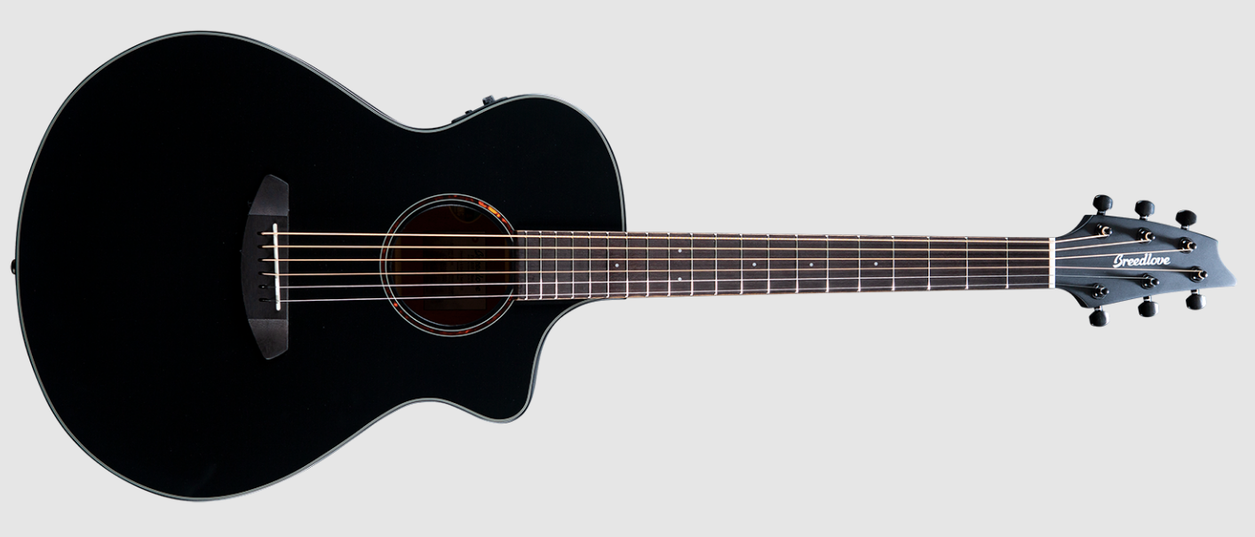 Breedlove AN250/CR Natural | Reverb