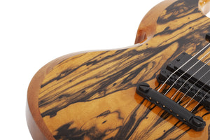 Schecter Wylde Audio Barbarian Pale Moon Ebony Electric Guitar, Gloss Natural 4587-SHC