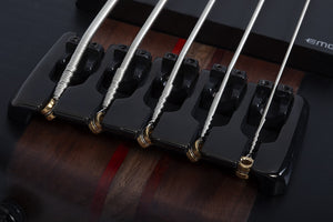 Schecter Charles Berthoud CB-5 5-String Electric Bass, See-Thru Black Satin 2873-SHC