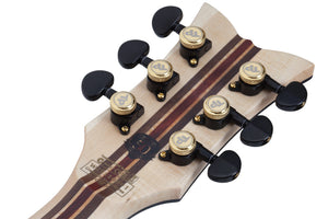 Schecter Tempest 50th Anniversary Left-Handed Electric Guitar, Gold Burst 4140-SHC