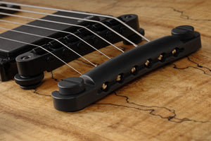 Schecter Wylde Audio Wrathmaker Left-Handed Electric Guitar, Spalted Maple with Black Burst 4590-SHC