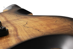 Schecter Wylde Audio Wrathmaker Left-Handed Electric Guitar, Spalted Maple with Black Burst 4590-SHC