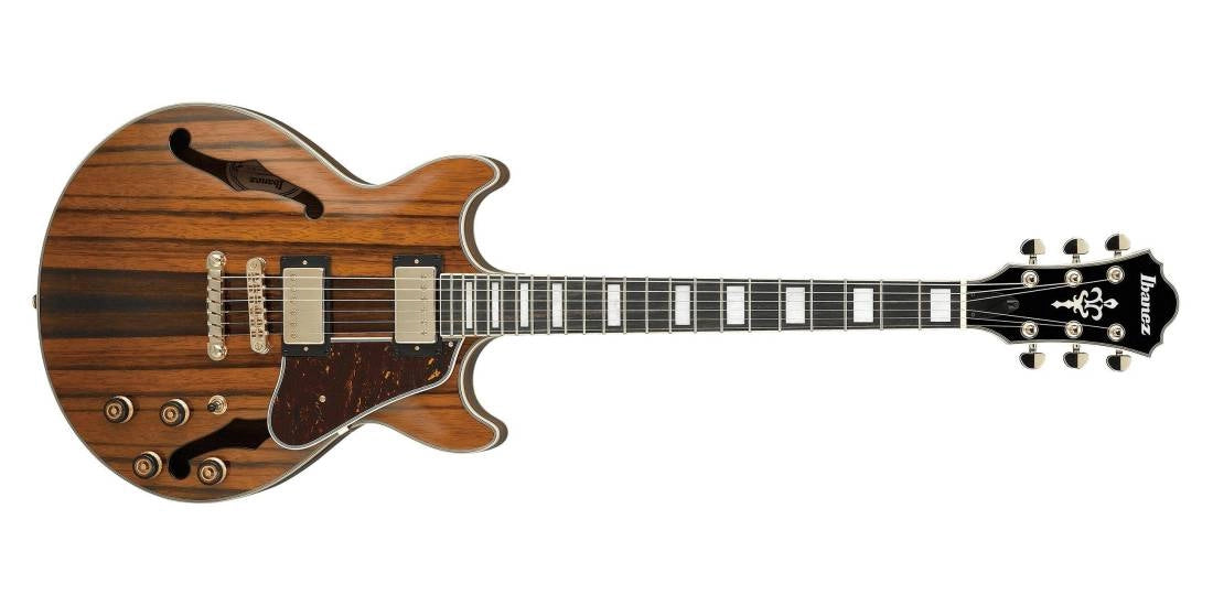 Ibanez AM93MENT Artcore Expressionist Hollow Body Electric Guitar - Natural Ebony