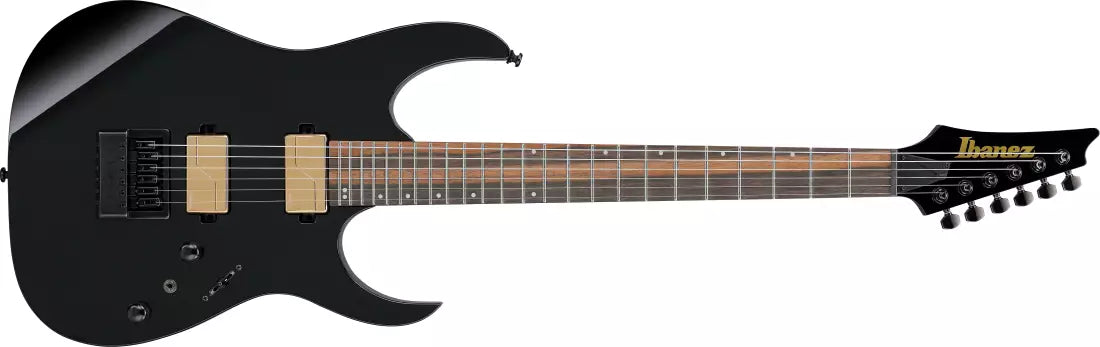 Ibanez RG Axe Design Lab 6-String Electric Guitar - Black RGR52ETBK
