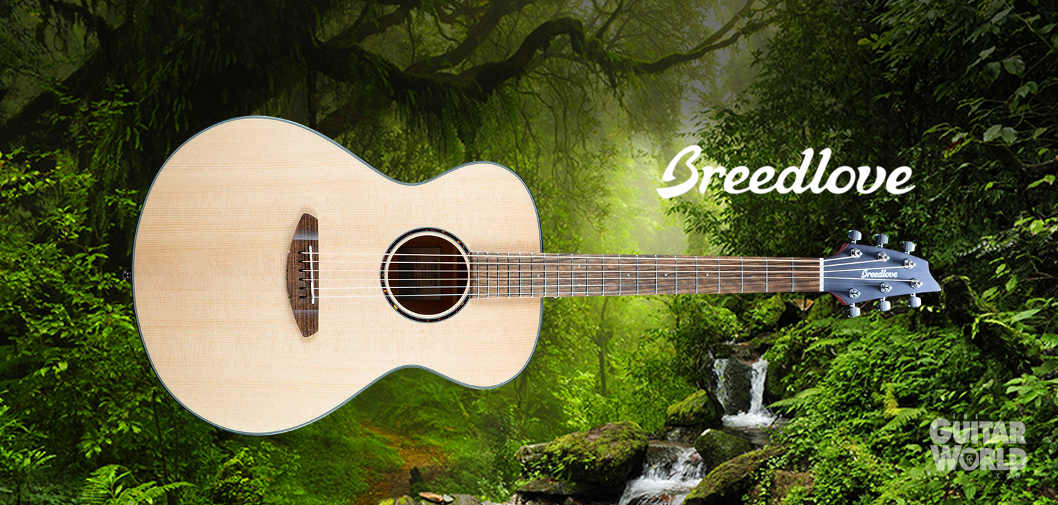 The Guitar World Guitars Musical Instument Sales Lessons Repairs