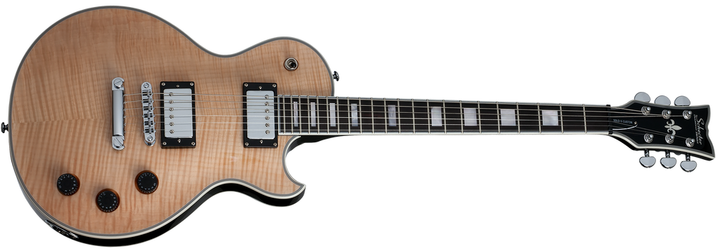 K*a様 SCHECTER シェクター SOLO-ⅱ CUSTOM GNAT CUSTOM_SOLO_II_GNAT3_1024x1024