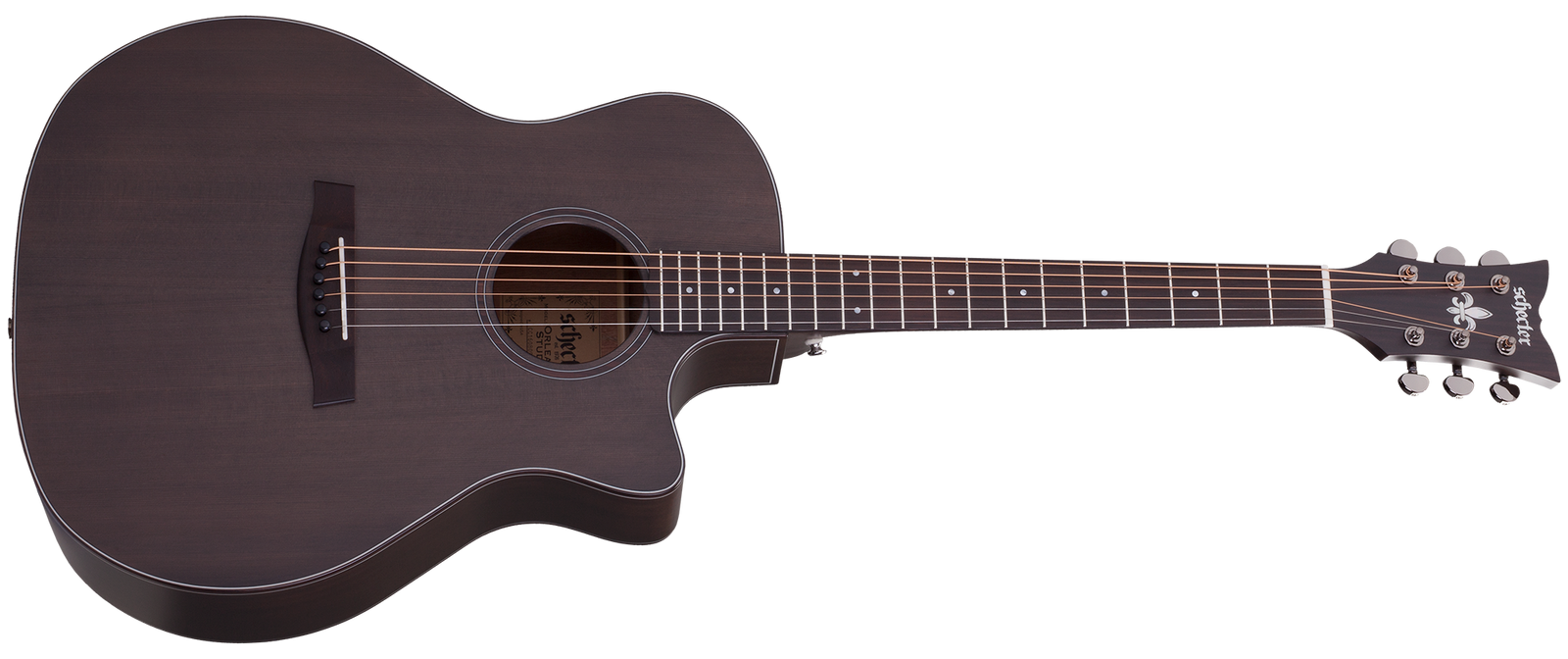 Schecter Tagged Acoustic Guitars The Guitar World