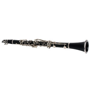 Sinclair Clarinet With Case SCL2200 - The Guitar World