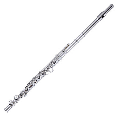 Sinclair Flute Silver Plated Closed Hole SFL2100 - The Guitar World
