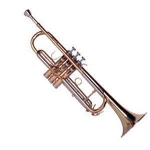 Sinclair Trumpet STR2500 - The Guitar World