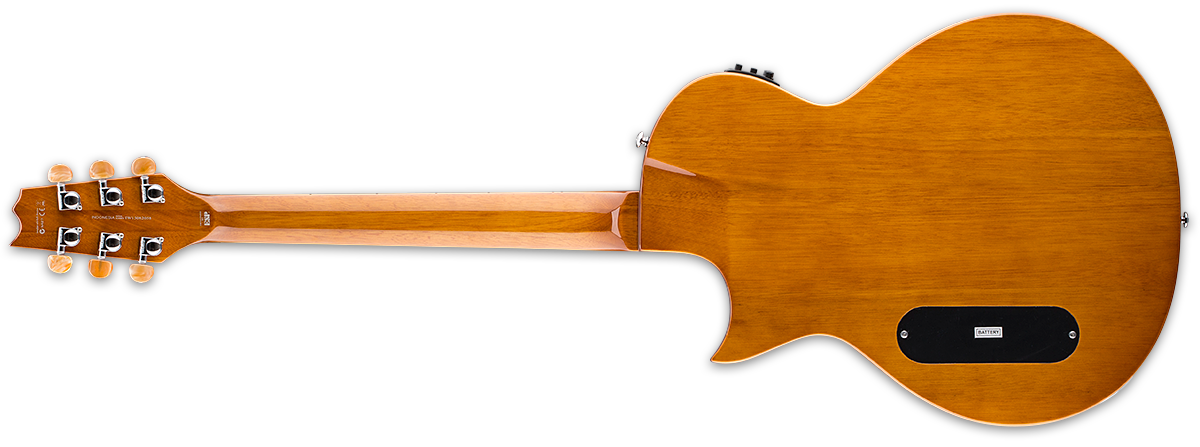 ESP LTD TL-12 Thinline Acoustic-Electric Guitar, 12-String