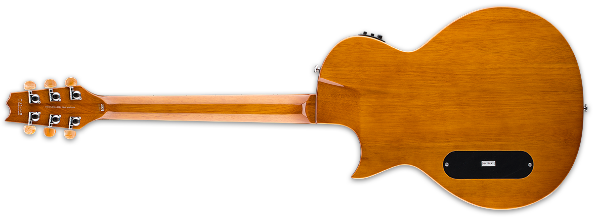 Ltd thinline acoustic deals